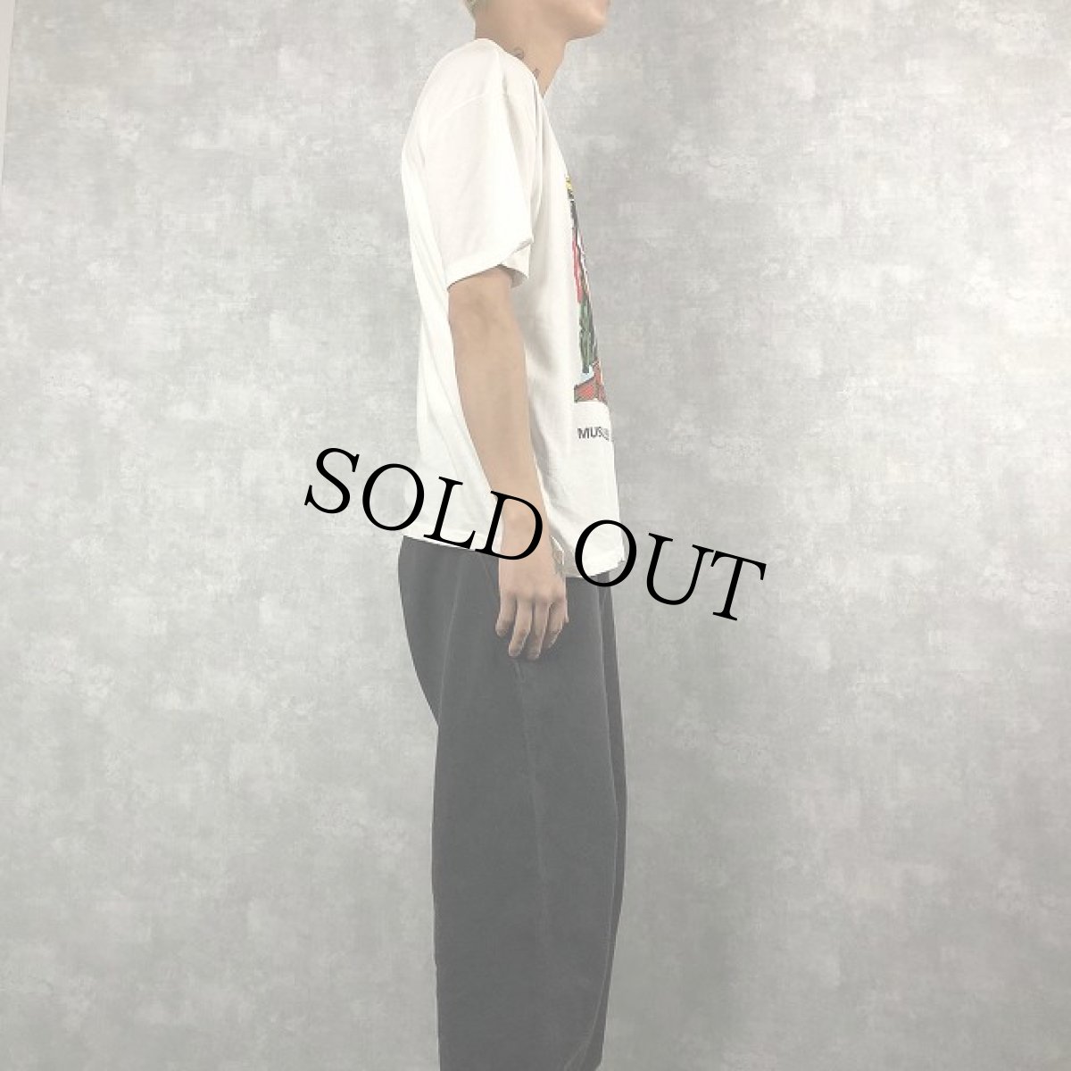 画像3: 80's Pablo Picasso "MUSEO PICASSO" アートTシャツ XL (3)