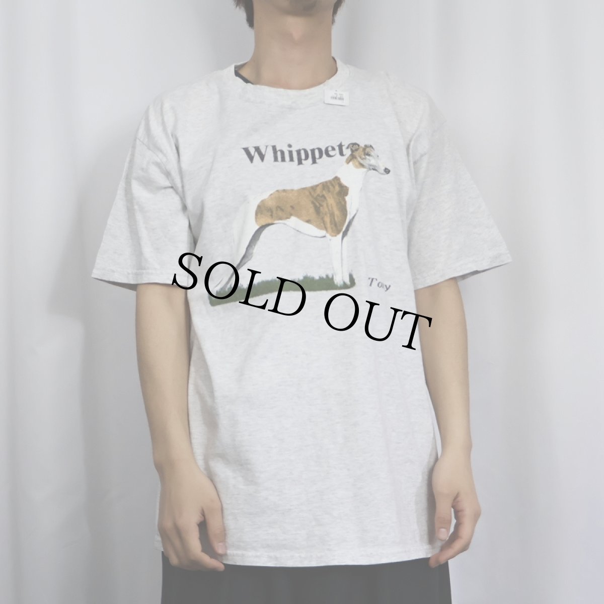 画像2: "Whippet" 犬プリントTシャツ L (2)