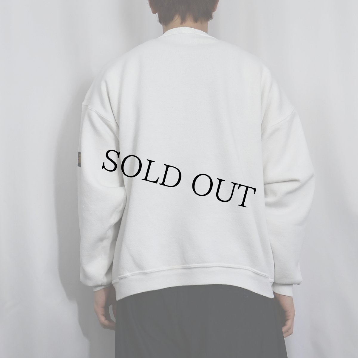 画像3: 90's DINOTOPIA USA製 ファンタジー本プリントスウェット XL (3)