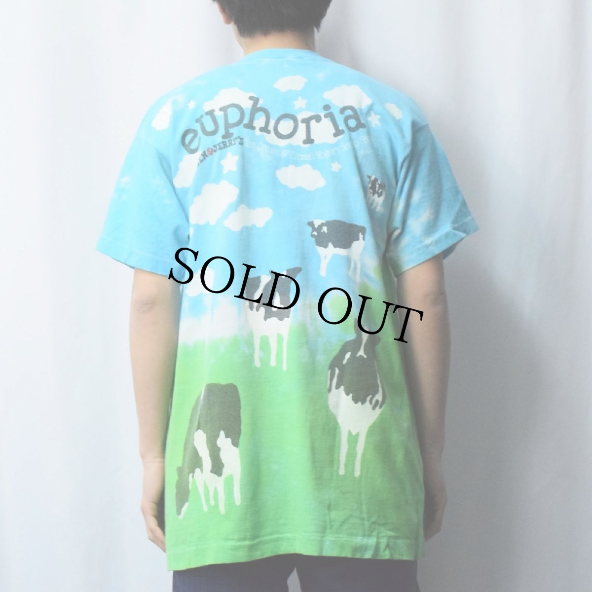 画像3: 90's BEN&JERRY'S USA製 食品メーカー 大判プリントTシャツ L (3)