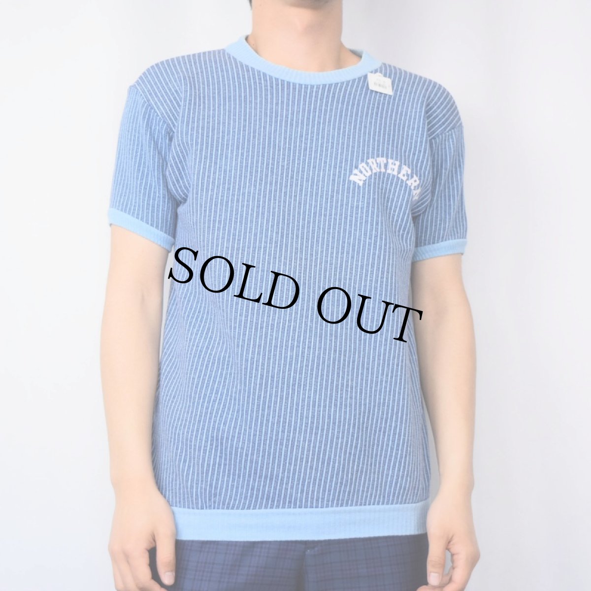 画像2: 60's Champion PRODUCTSタグ "NORTHERN" ストライプ柄 フロッキープリント 半袖スウェット M (2)