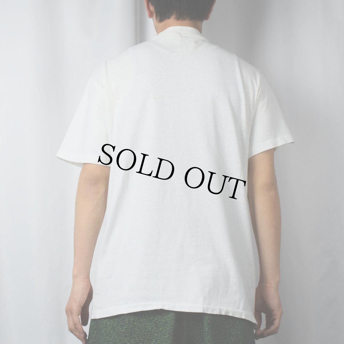 画像3: 90's Norman Rockwell Museum USA製 アートプリントTシャツ M (3)