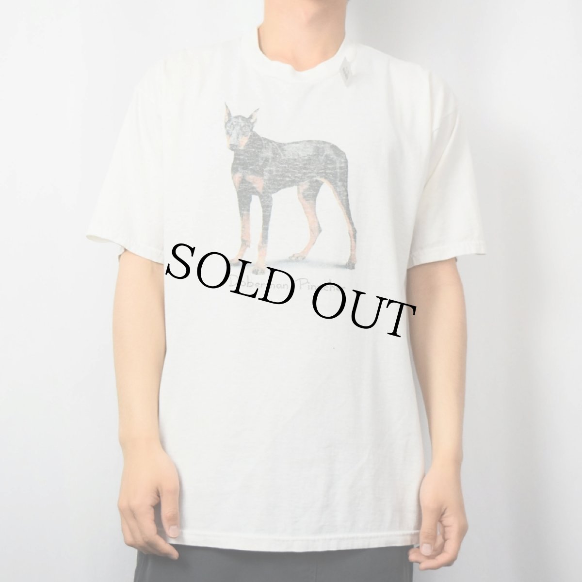 画像2: "Doberman Pinscer" 犬プリントTシャツ L (2)