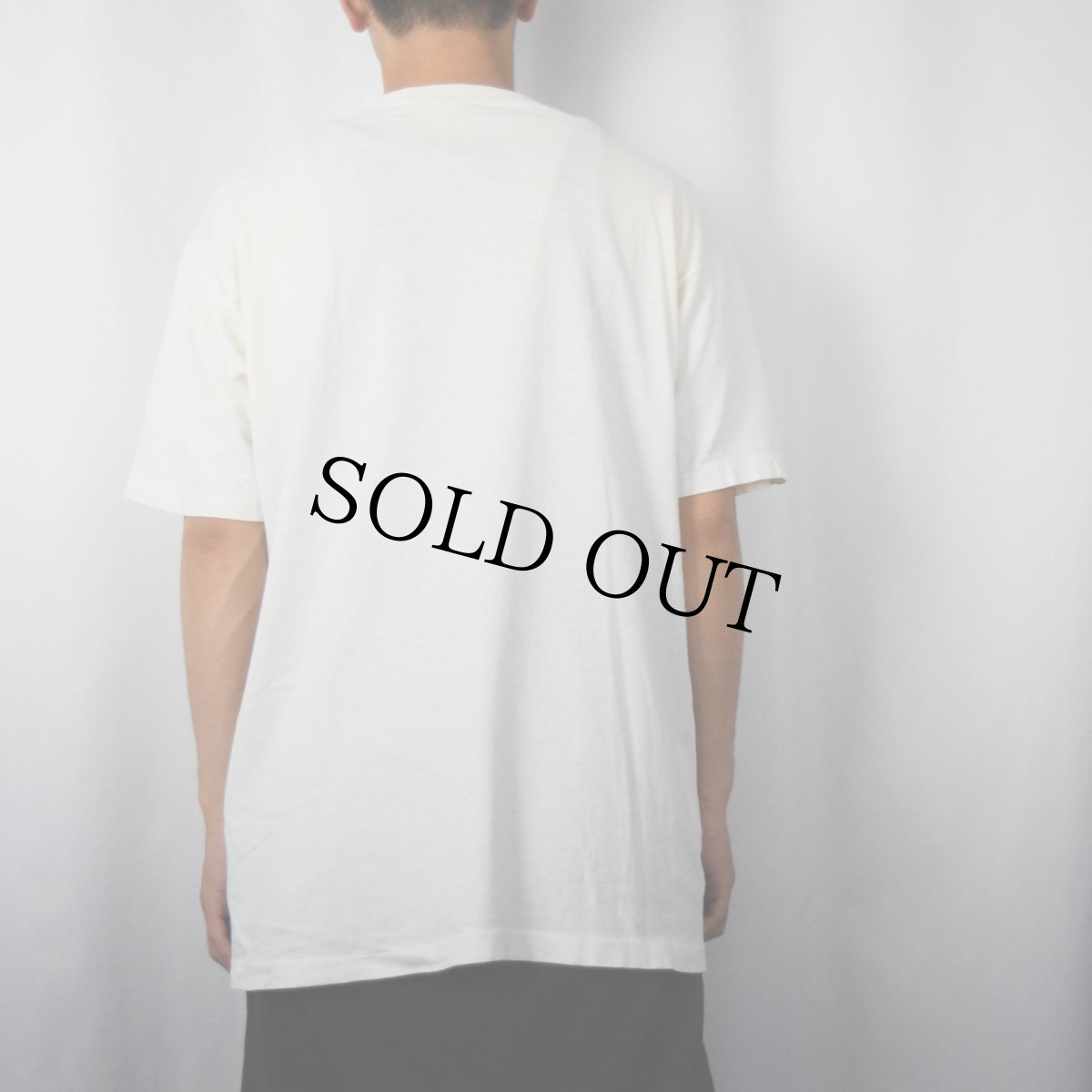 画像3: 90's CANADA製 "BEE SMART, BEE SAFE" シュールイラスト エロTシャツ (3)