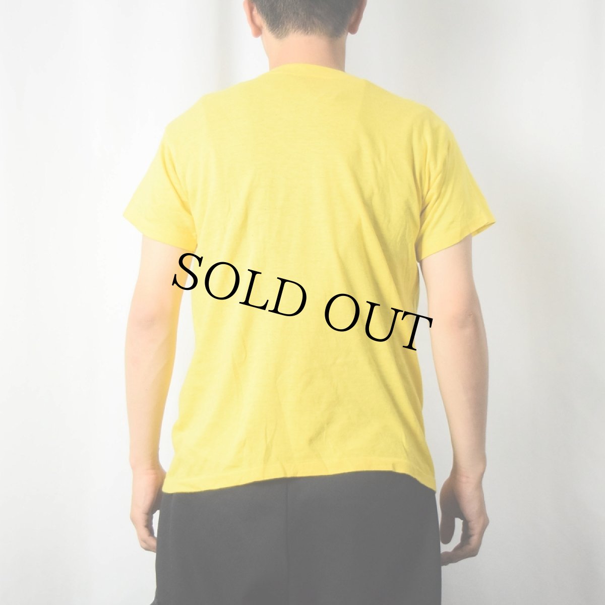 画像3: 70's USA製 "The Killer Bees!" イラストプリントTシャツ (3)