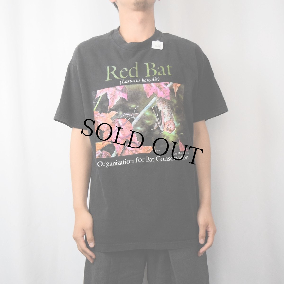 画像2: 90's "Red Bat" コウモリプリントTシャツ L (2)