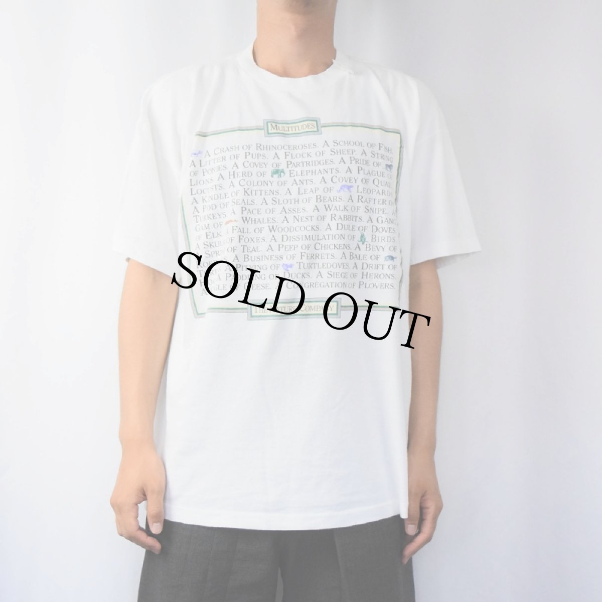画像2: 90's USA製 "MULTITUDES THE NATURE COMPANY" アニマルプリントTシャツ XL (2)