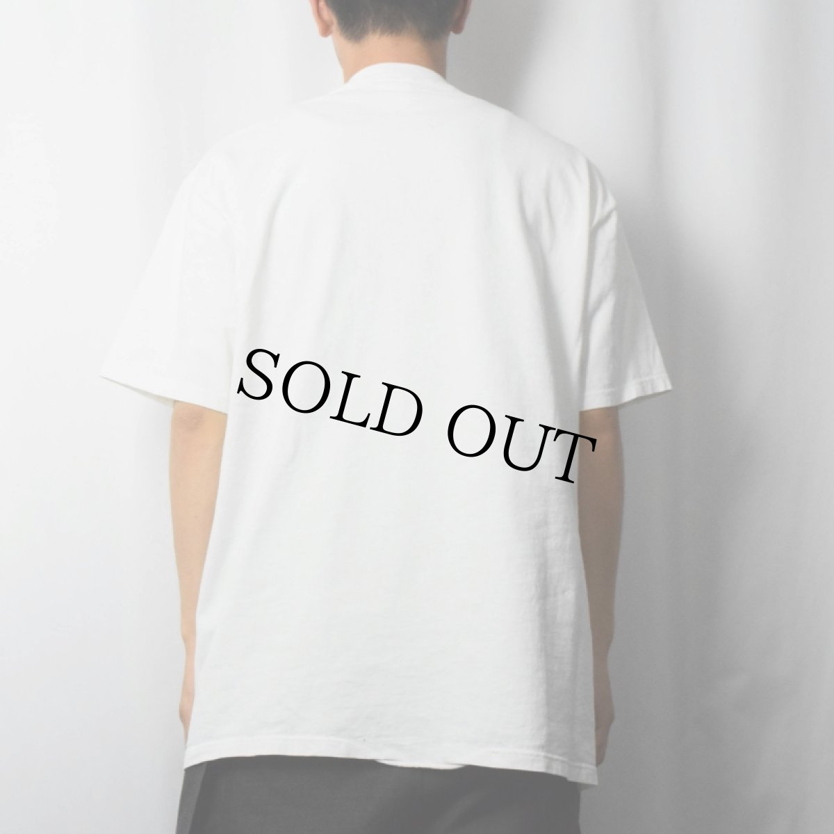 画像3: 90's Chad Carpenter USA製 "TUNDRA" シュールイラストプリントTシャツ XL (3)