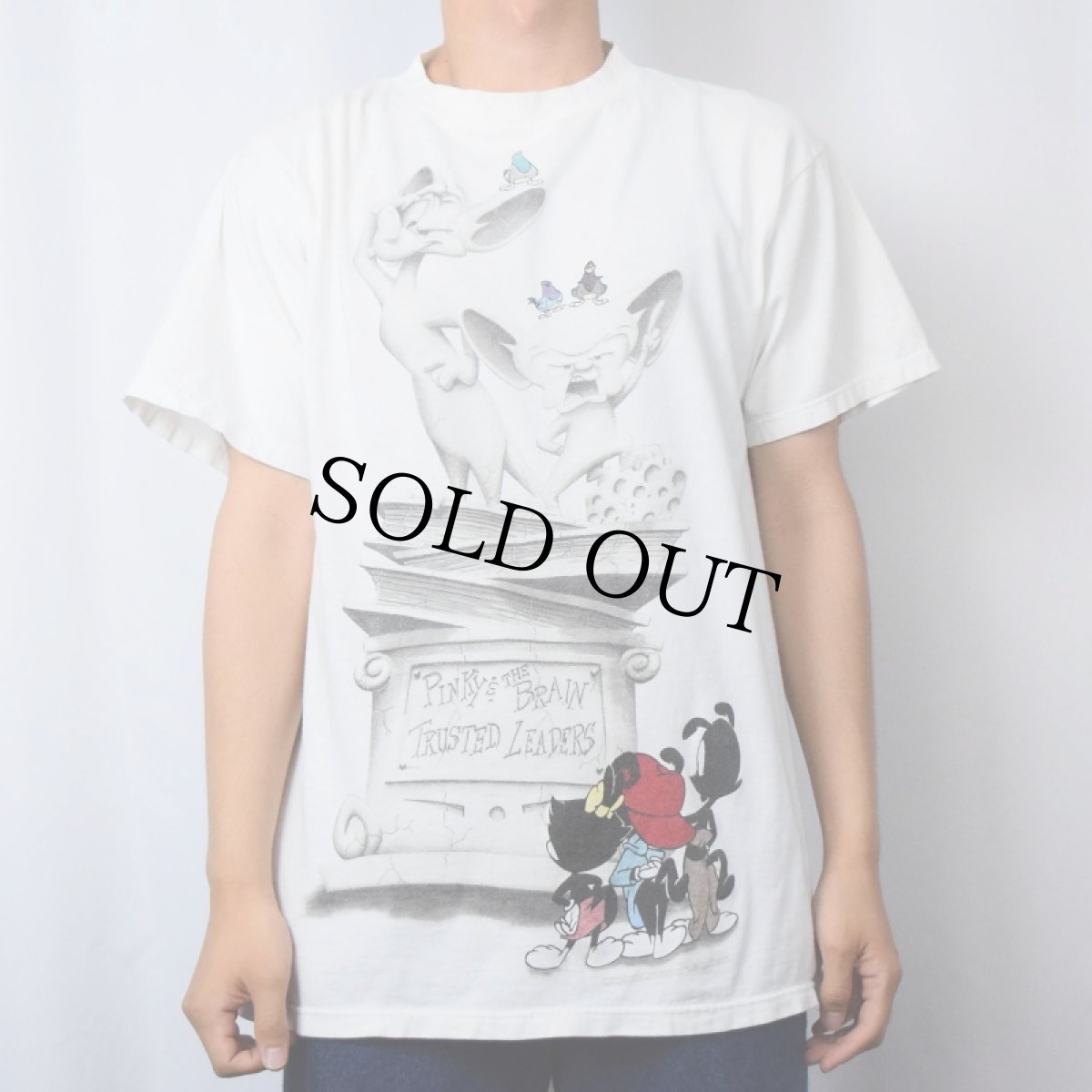 画像2: 【SALE】 90's ピンキー&ブレイン USA製 キャラクタープリントTシャツ L (2)