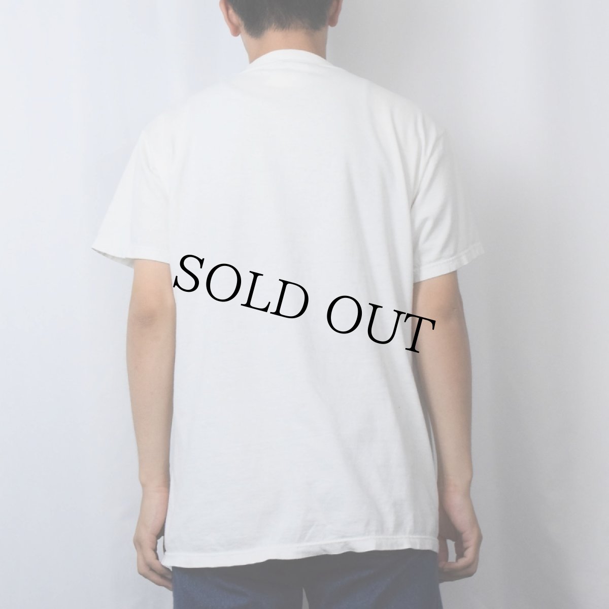 画像3: 【SALE】 90's ピンキー&ブレイン USA製 キャラクタープリントTシャツ L (3)