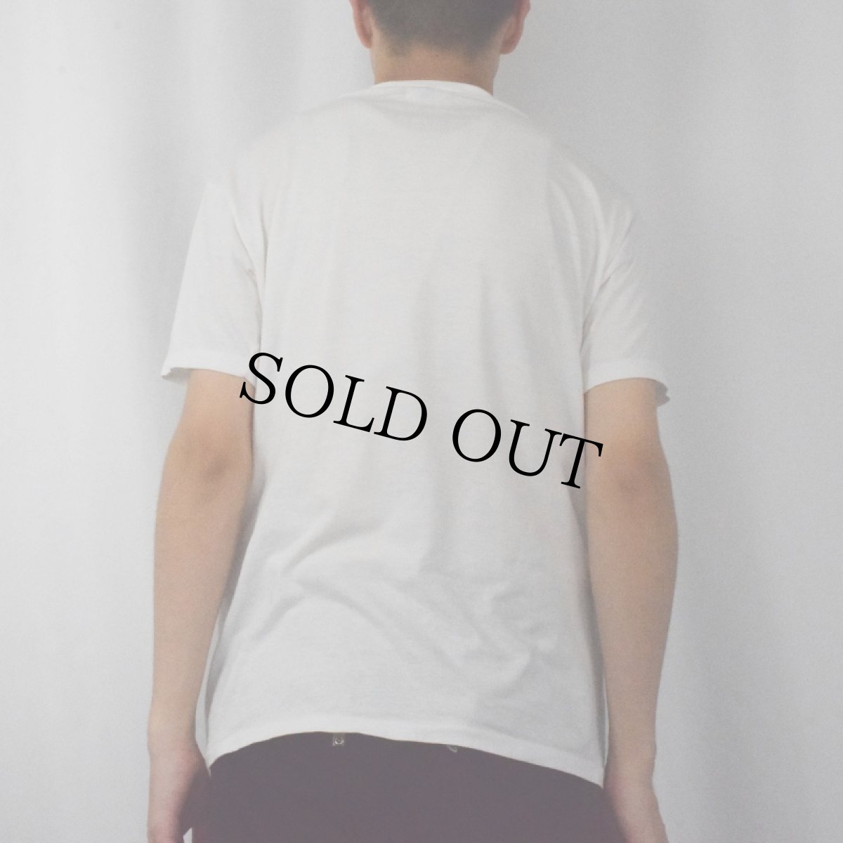 画像3: 80's "SPRING BREAK PARTY ANIMAL" イラストプリントTシャツ XL (3)