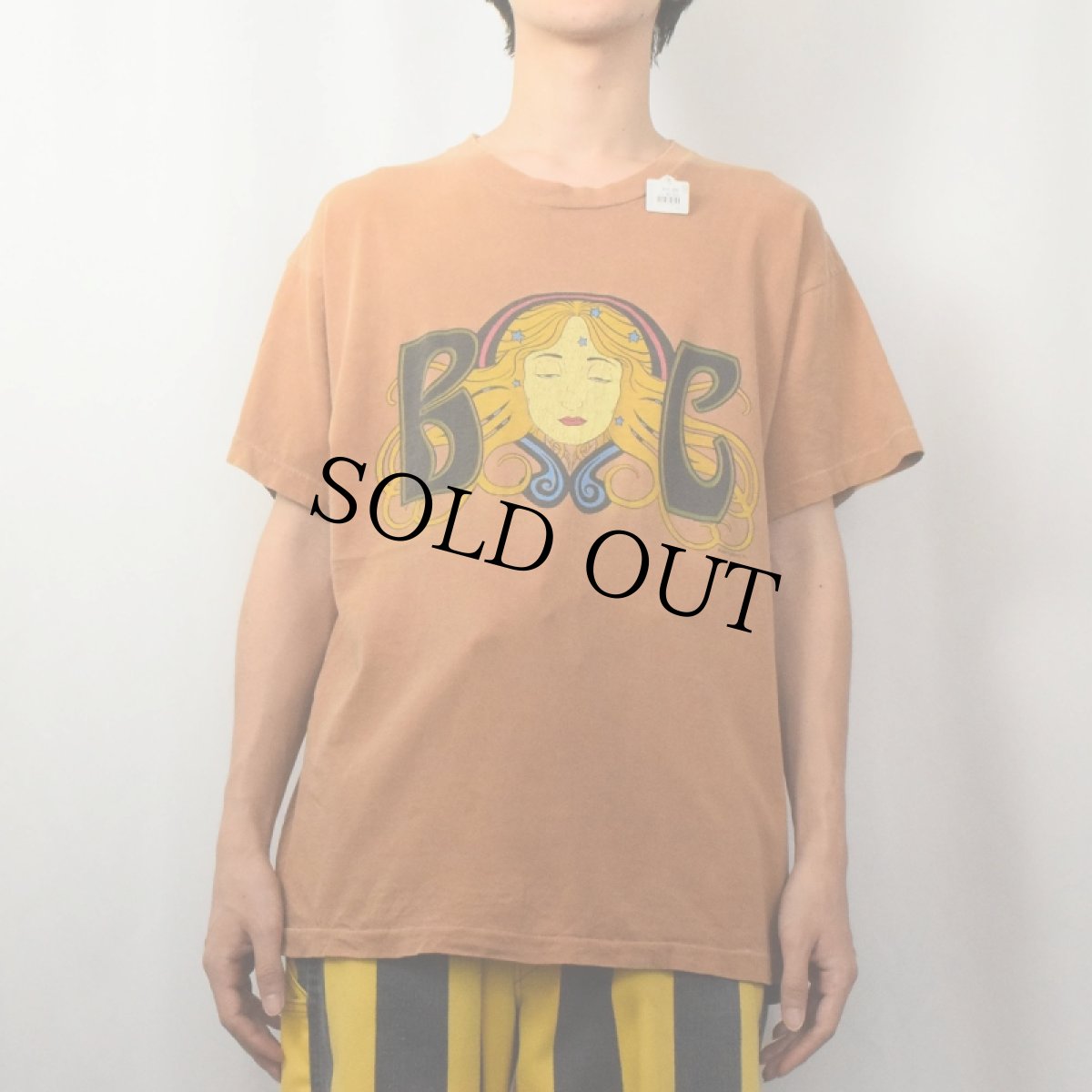 画像3: 【お客様お支払処理中】1994 The Black Crowes "AMORICA OR BUST" ロックバンドTシャツ L (3)