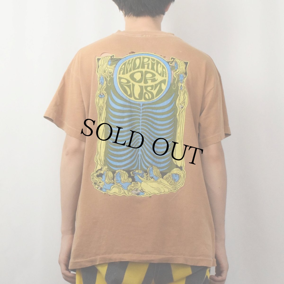 画像4: 【お客様お支払処理中】1994 The Black Crowes "AMORICA OR BUST" ロックバンドTシャツ L (4)