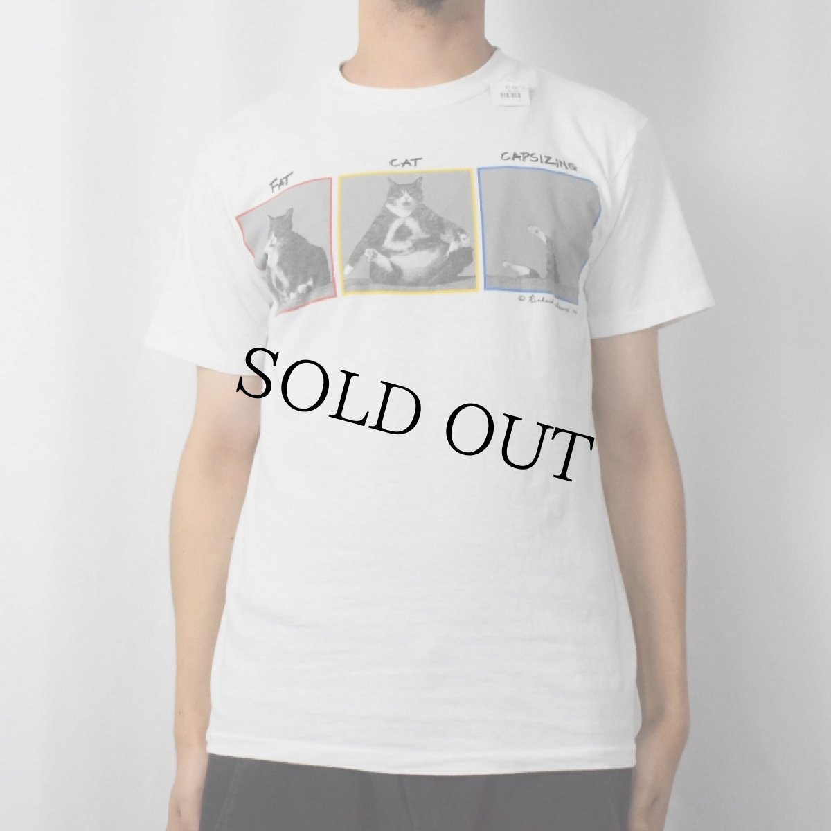 画像2: 90's Richard Watherwax USA製 "FAT CAT CAPSIZING" ネコプリントTシャツ M (2)