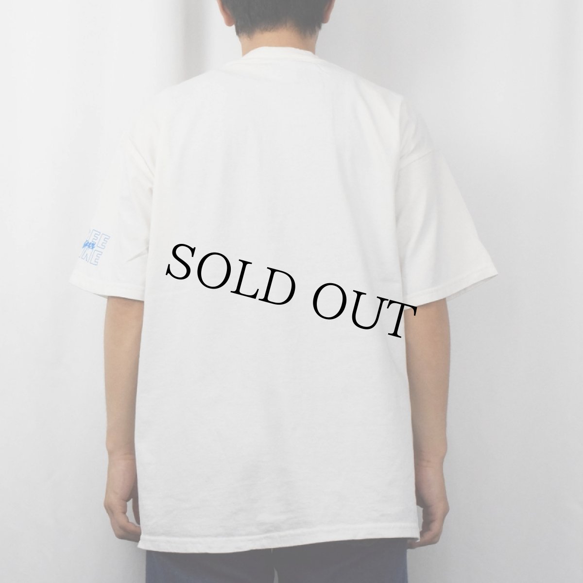 画像3: 2000's Blue Light "Victoria Day 2001" ヴィクトリア女王 ビールプリントTシャツ XL (3)