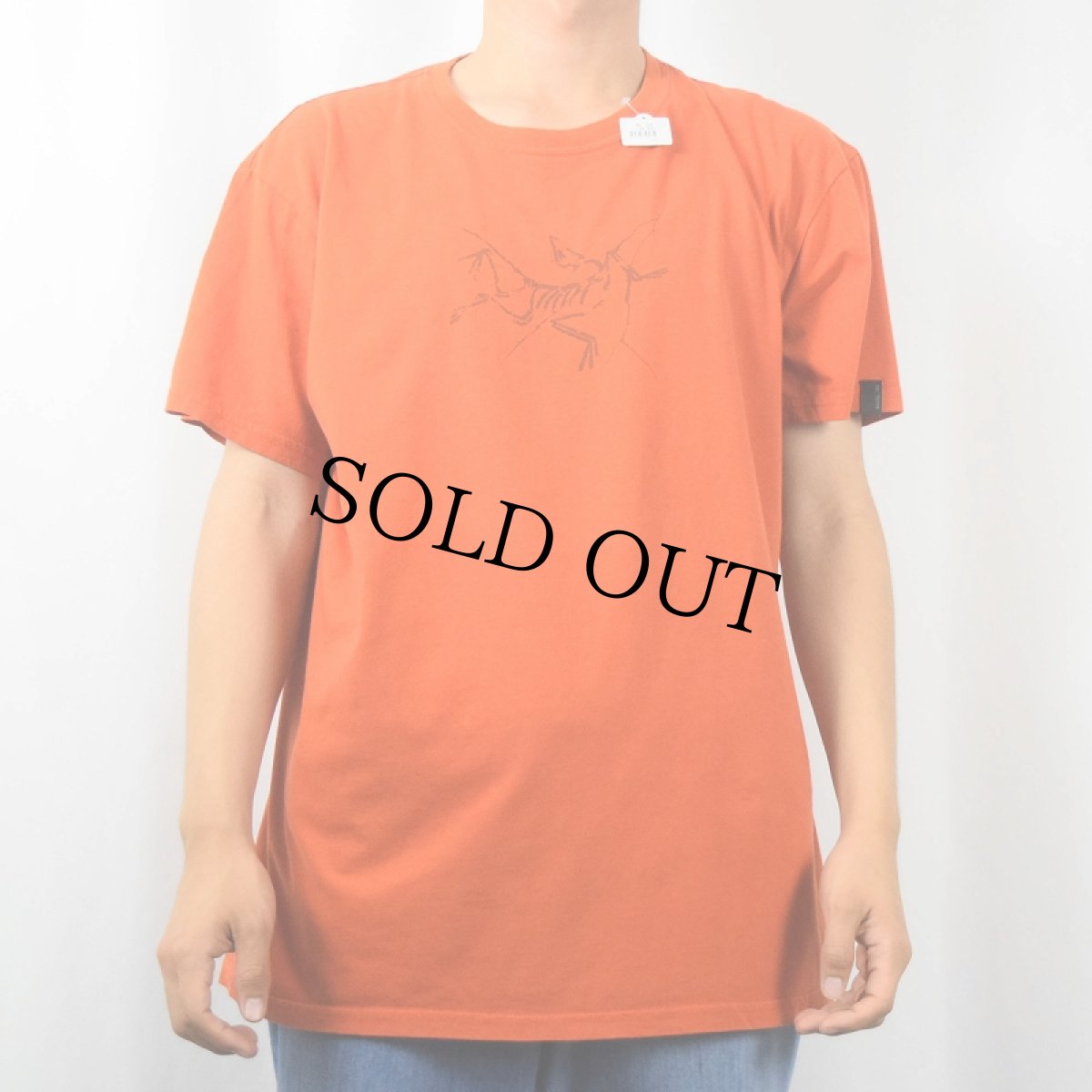 画像3: ARC'TERYX ロゴプリントTシャツ XL (3)