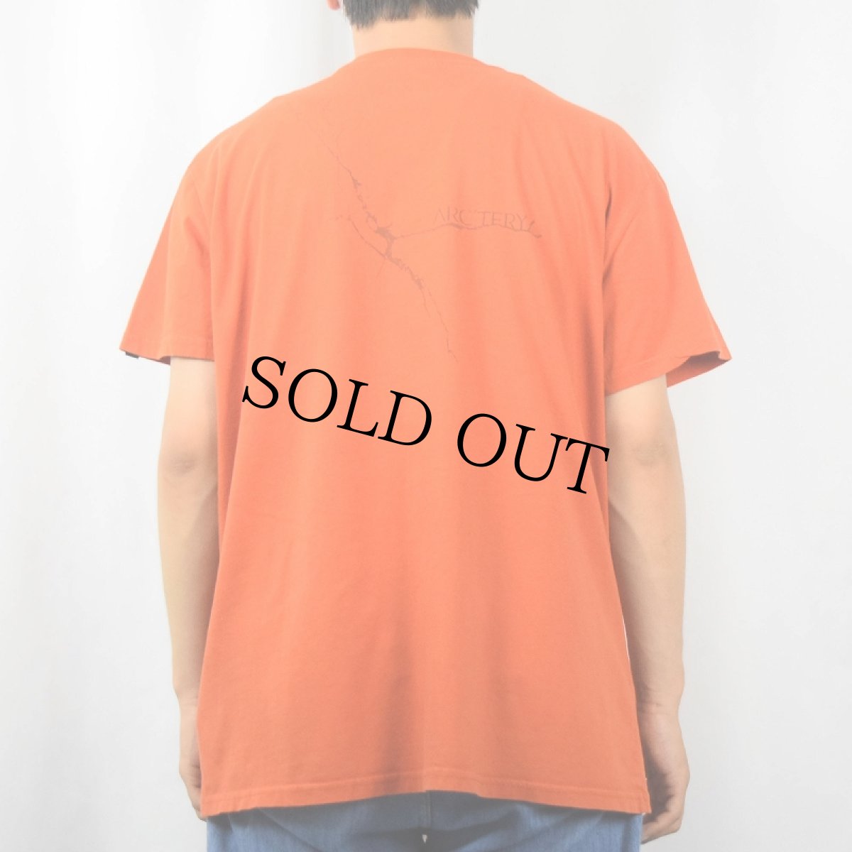 画像4: ARC'TERYX ロゴプリントTシャツ XL (4)