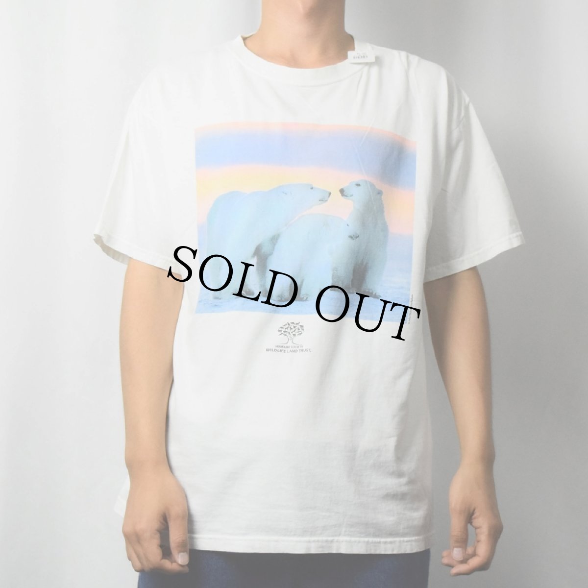 画像2: Wildlife Land Trust 環境保全団体 白クマ フォトプリントTシャツ L (2)