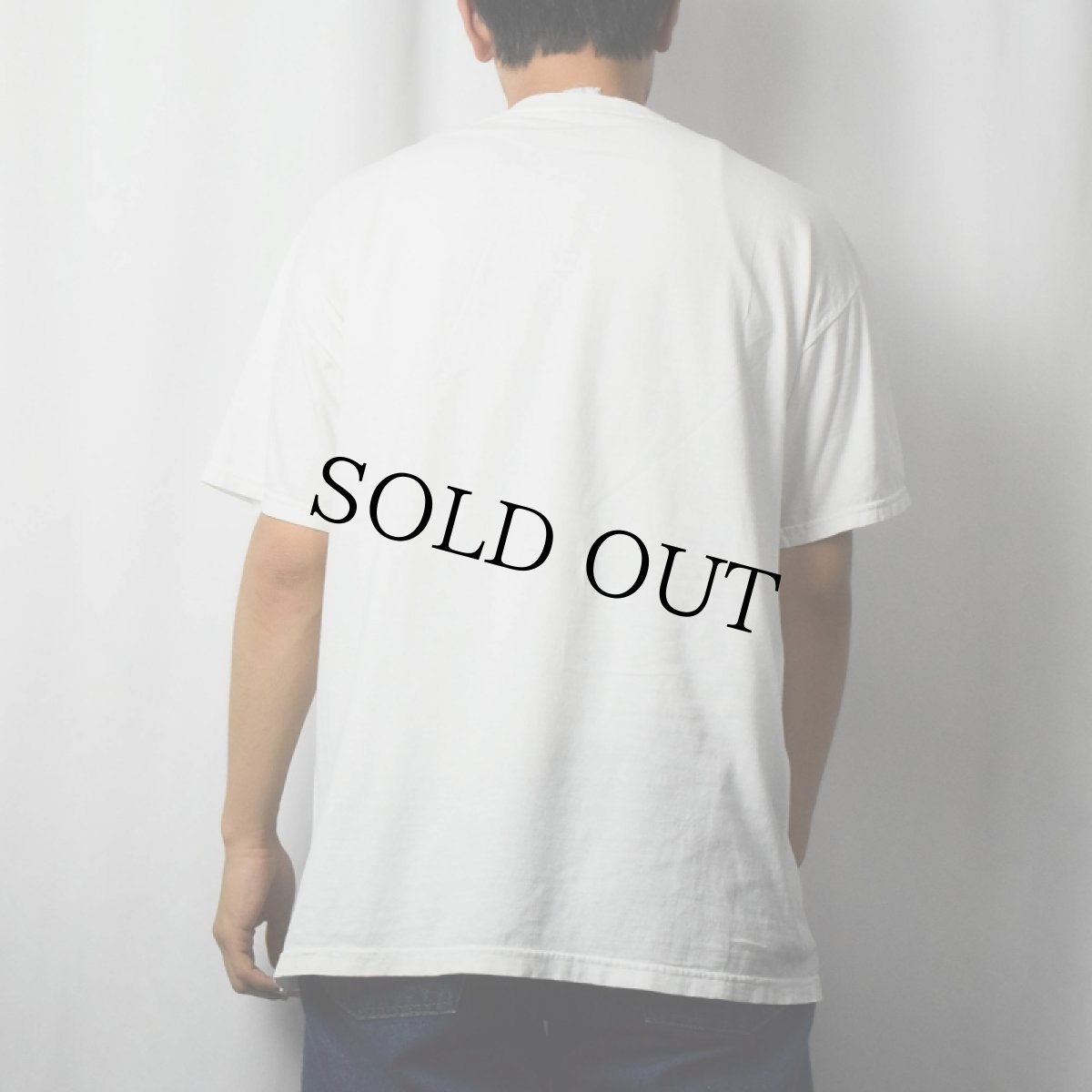 画像3: Wildlife Land Trust 環境保全団体 白クマ フォトプリントTシャツ L (3)