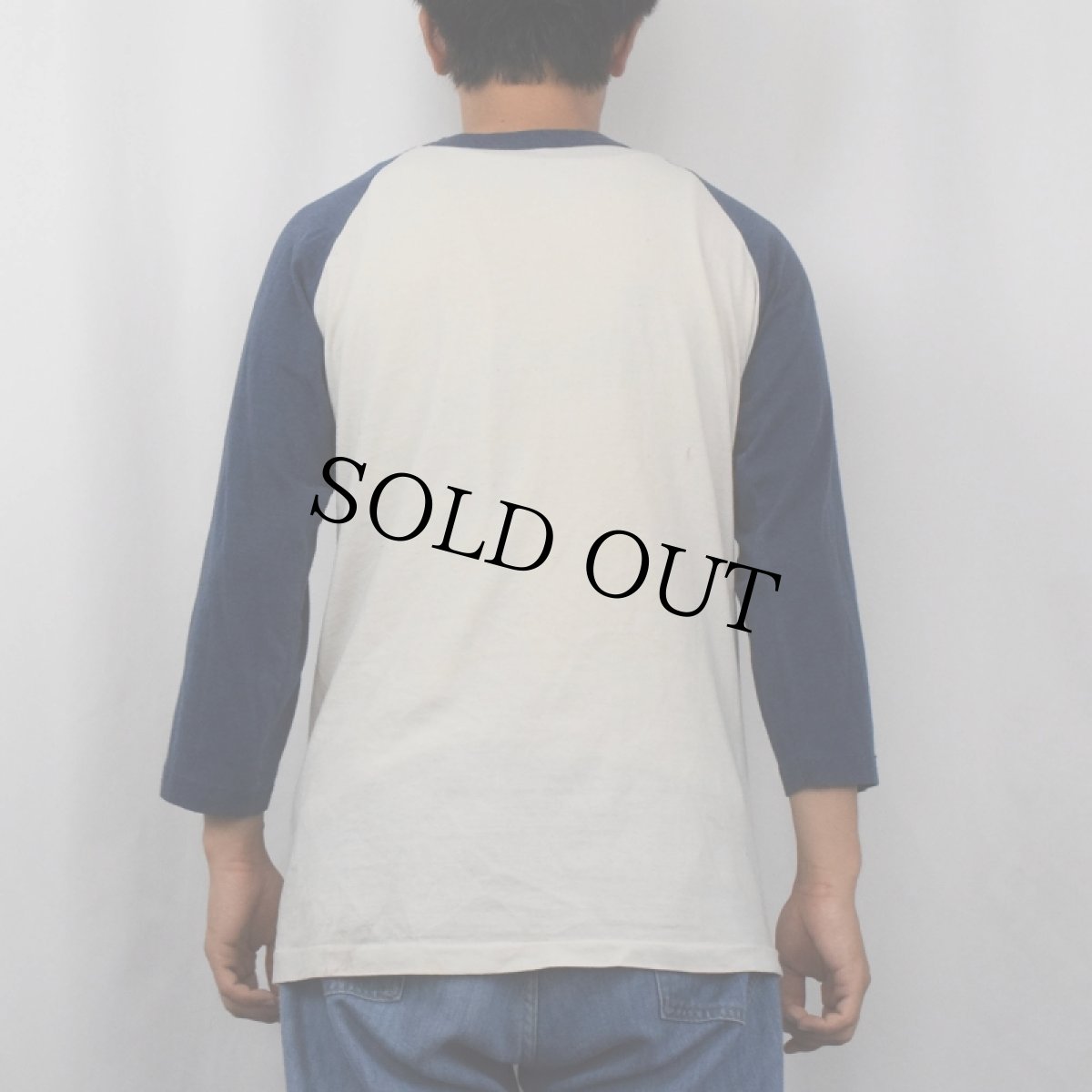 画像3: 80's "HOGWASH" ブタイラストプリントラグランTシャツ (3)