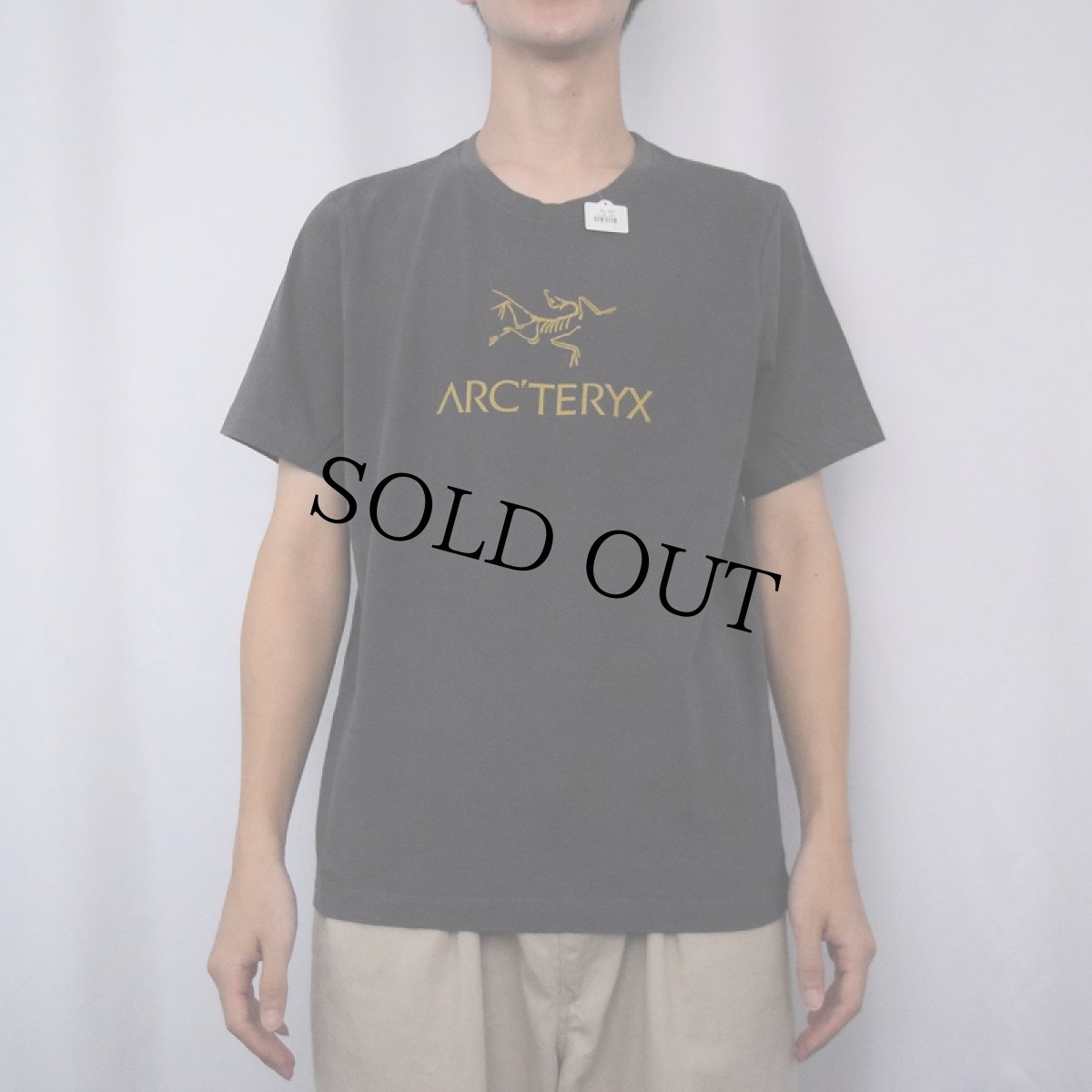 画像2: ARC'TERYX ロゴプリントTシャツ M (2)