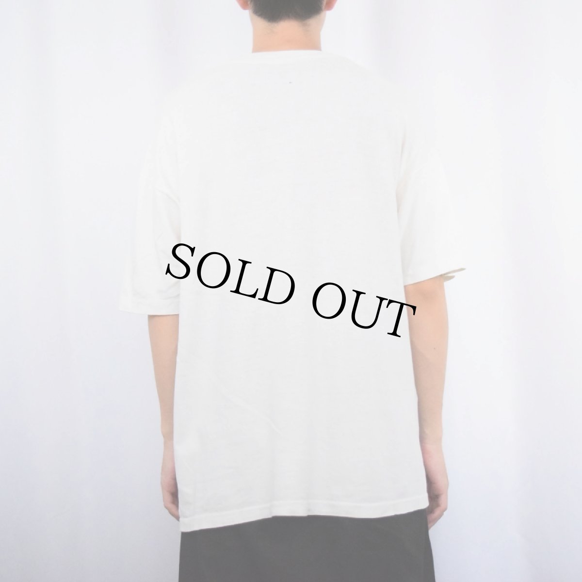 画像3: 90's Budweiser ビールメーカー 大判プリントTシャツ (3)