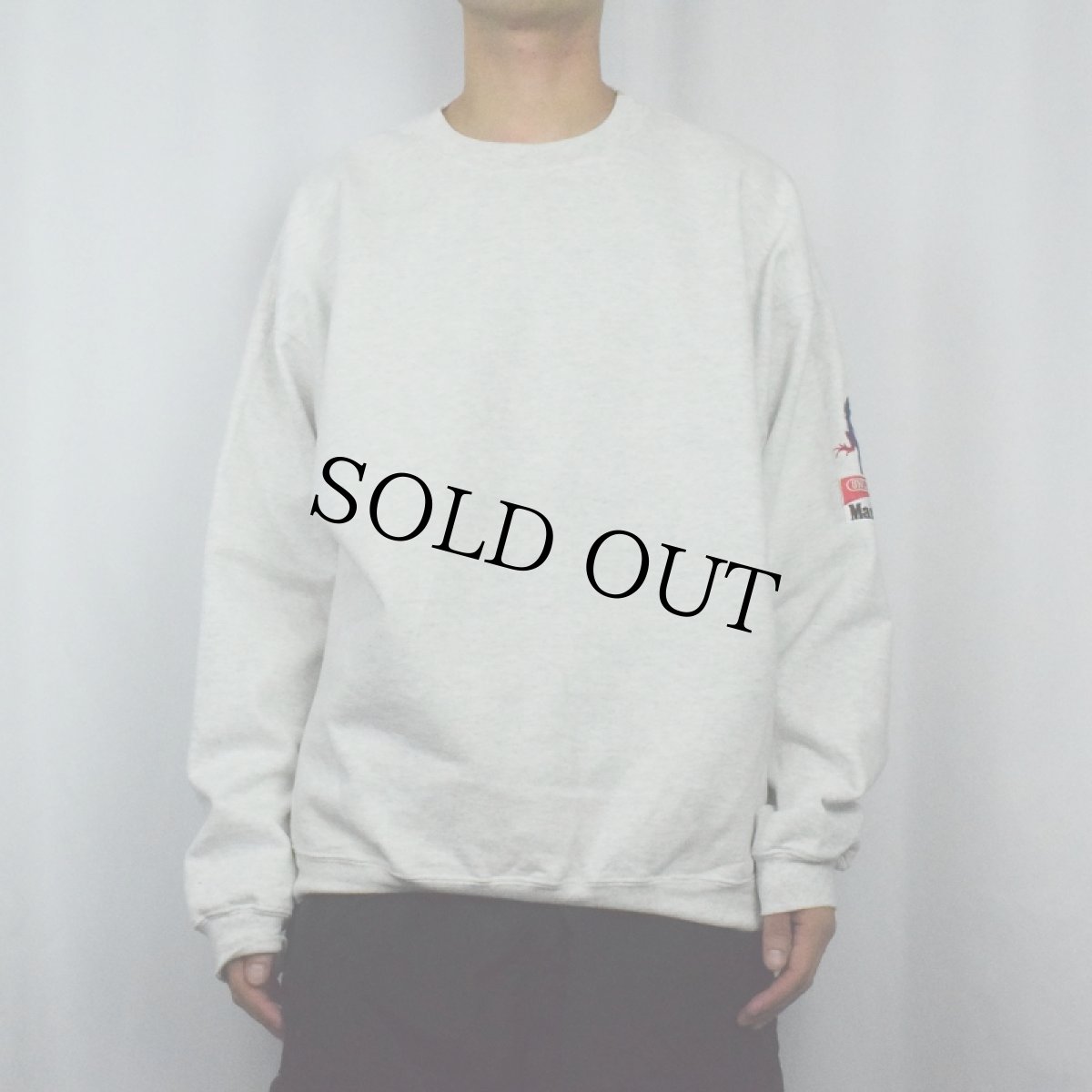 画像2: Marlboro ADVENTURE TEAM トカゲ刺繍 タバコ企業スウェット L (2)