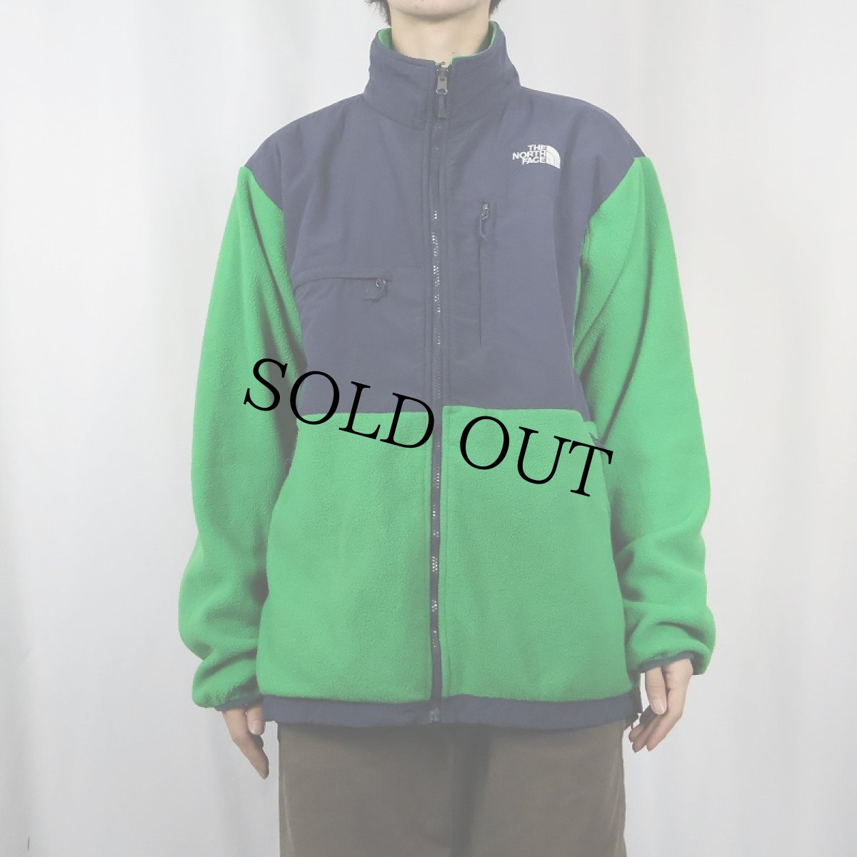 画像2: THE NORTH FACE "POLARTEC" デナリフリースジャケット XL (2)