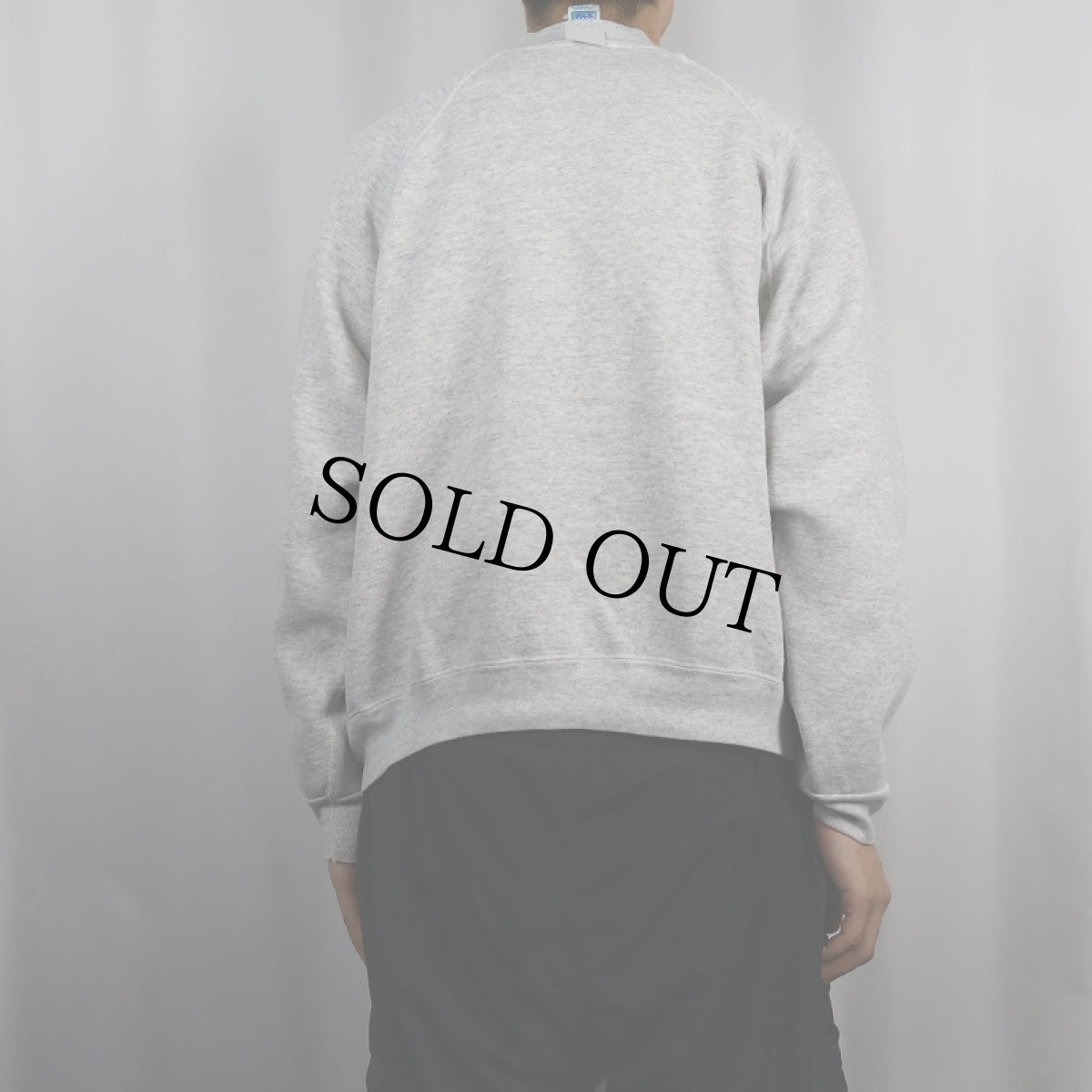 画像3: 90's USA製 "TIGER" イラストプリントラグランスウェット XXL (3)