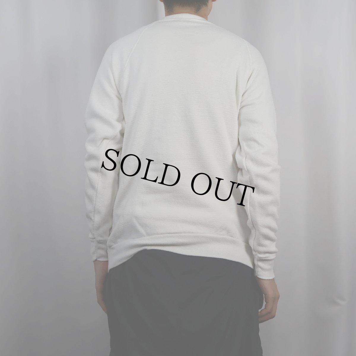 画像3: 80's BUD LIGHT "Spuds MacKenzie" ビールメーカー プリントラグランスウェット (3)