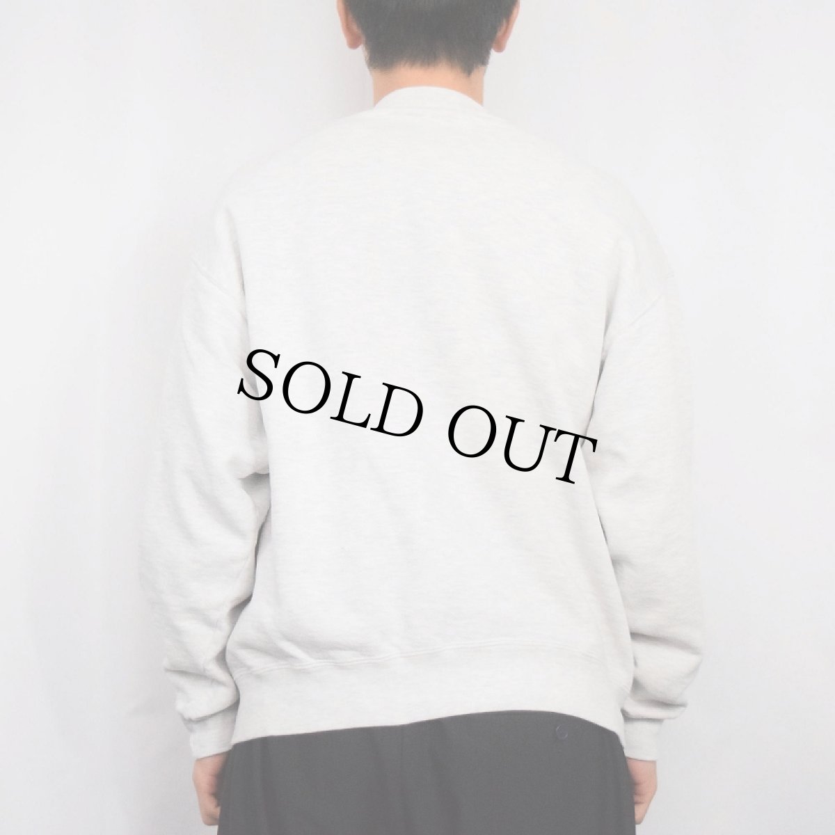 画像3: 90's RUSSELL ATHLETIC USA製 HIGH COTTON "ILLINOIS STATE ATH. DEPT." 前V プリントスウェット L (3)