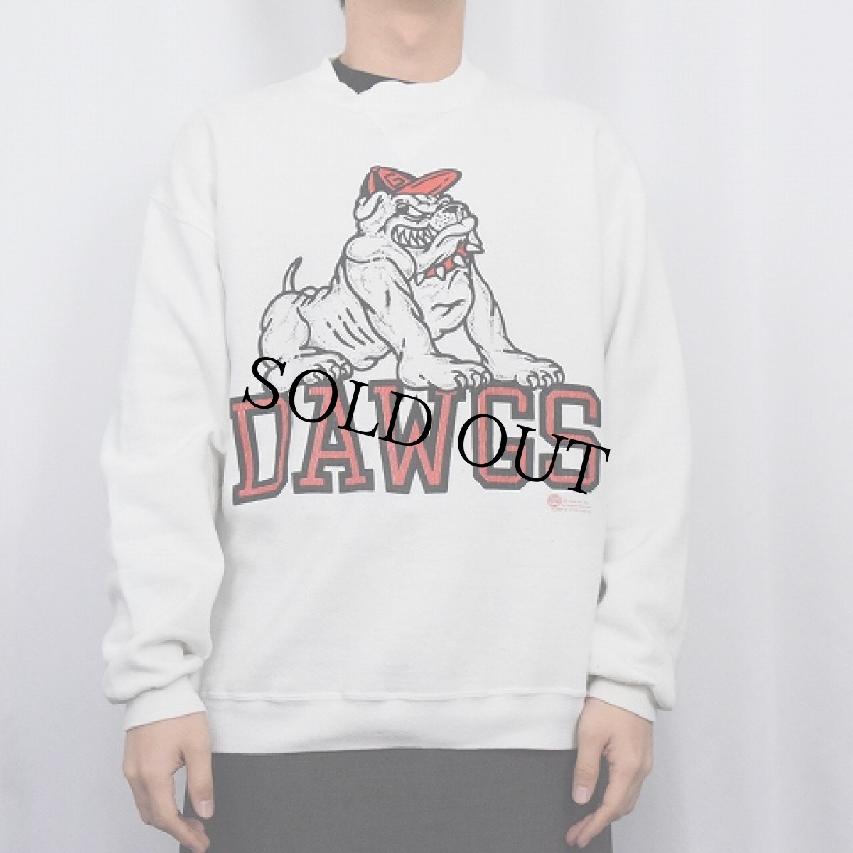 画像2: 80's RUSSELL ATHLETIC USA製 "DAWGS" 前V プリントスウェット XL (2)