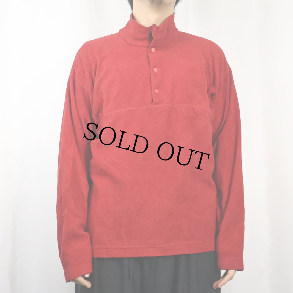 画像2: 90's Patagonia USA製 "MICRO D-LUXE" フリースプルオーバージャケット M (2)