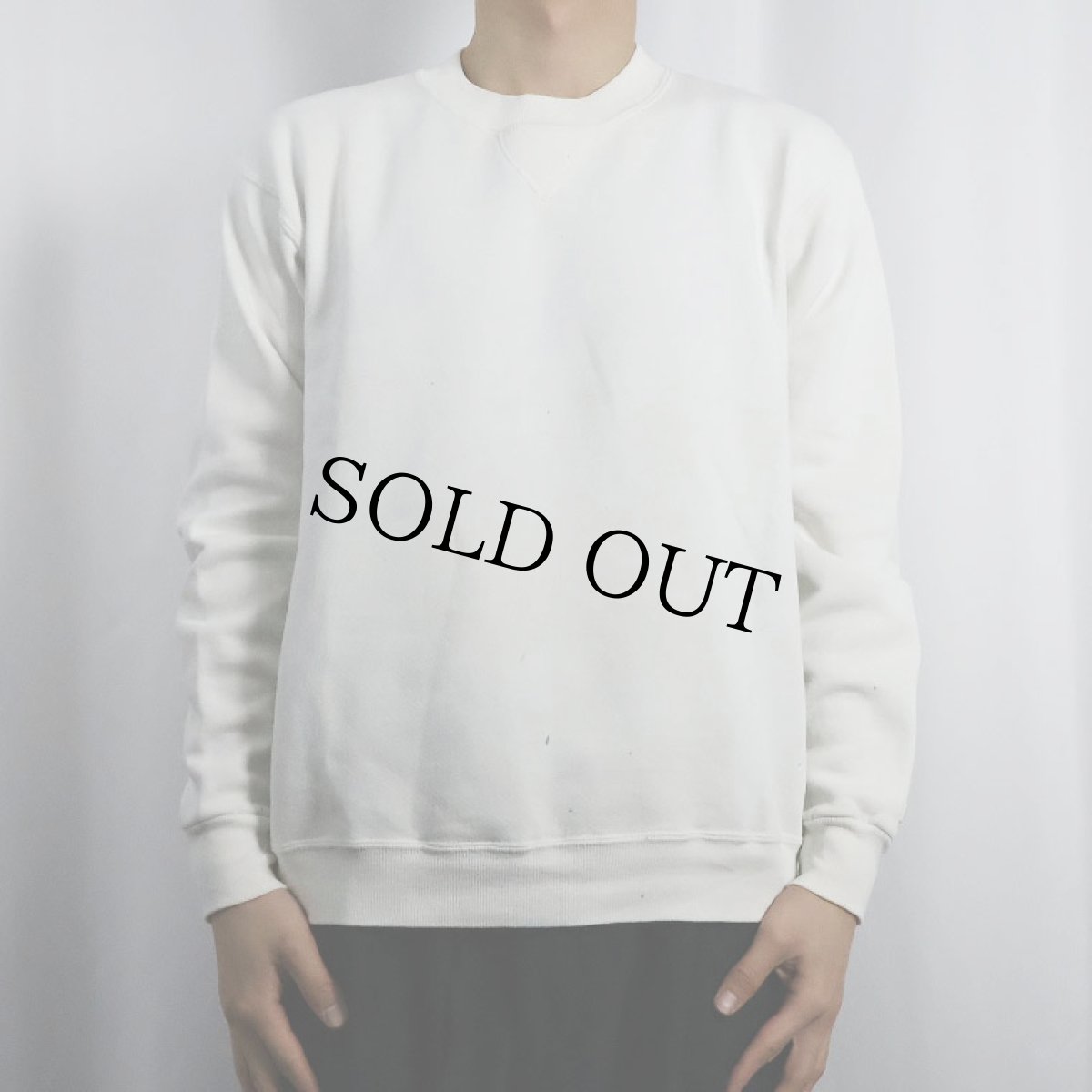 画像2: 90's RUSSELL ATHLETIC USA製 前V 無地スウェット M (2)