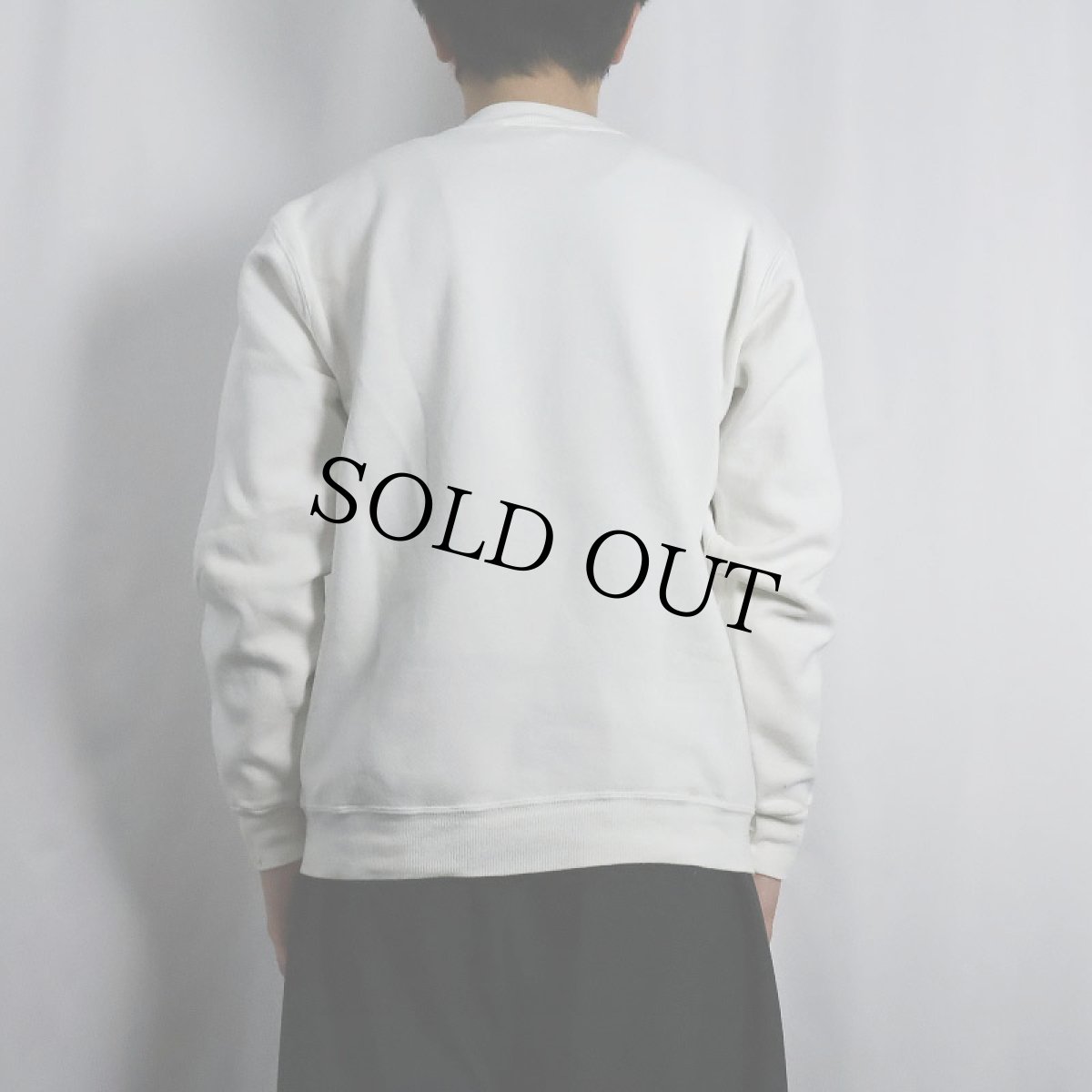 画像3: 90's RUSSELL ATHLETIC USA製 前V 無地スウェット M (3)