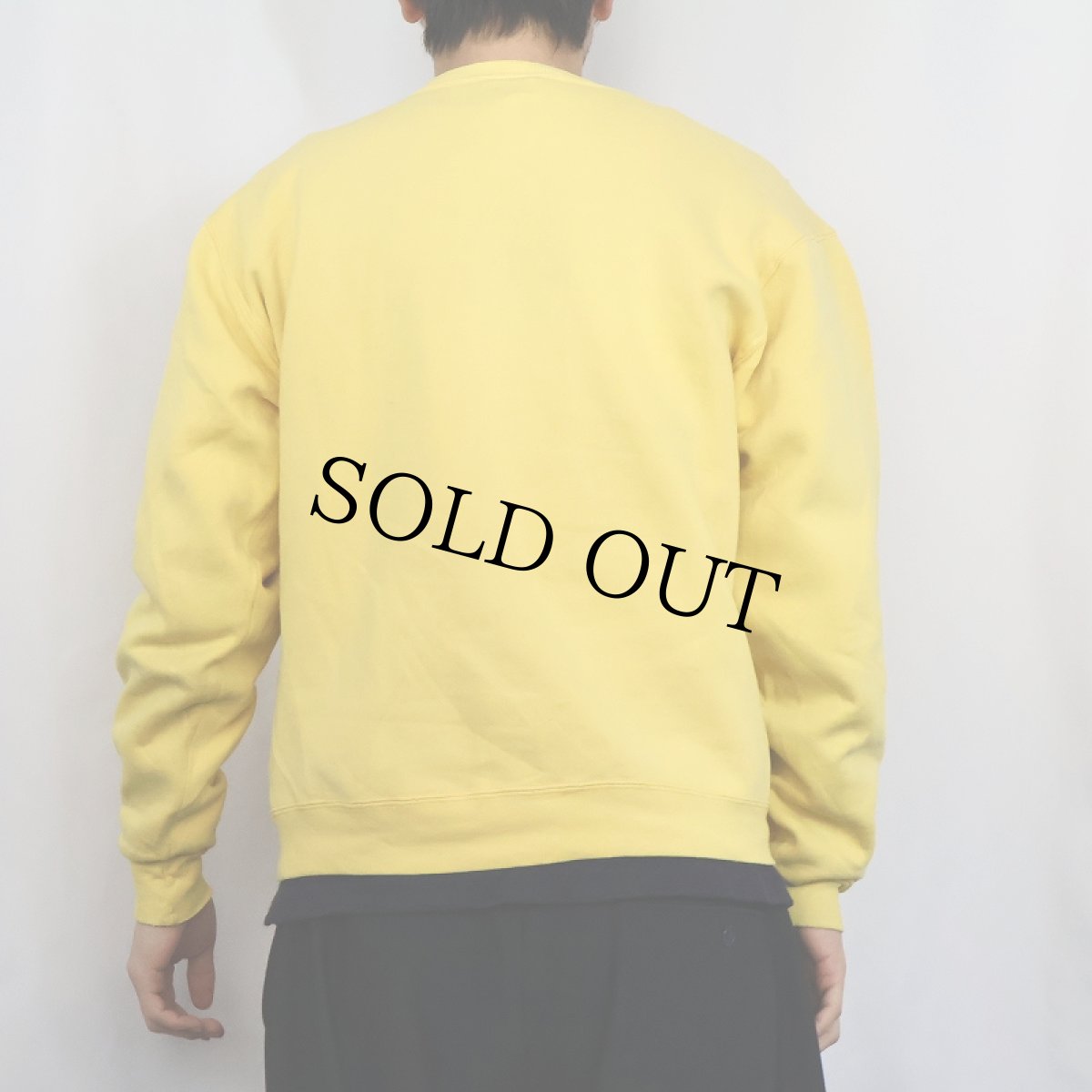 画像3: 90's RUSSELL ATHLETIC USA製 前V 無地スウェット M (3)