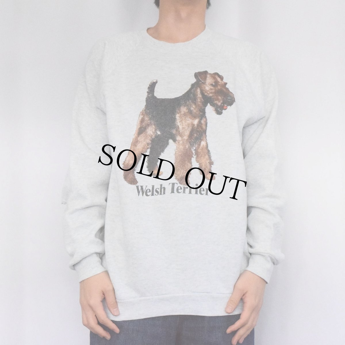 画像2: 90's USA製 "Welsh Terrier" 犬プリントラグランスウェット XL (2)