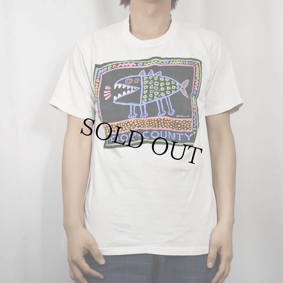 画像2: 90's BIG HED designs USA製 "DOOR-COUNTY" アートプリントTシャツ L (2)