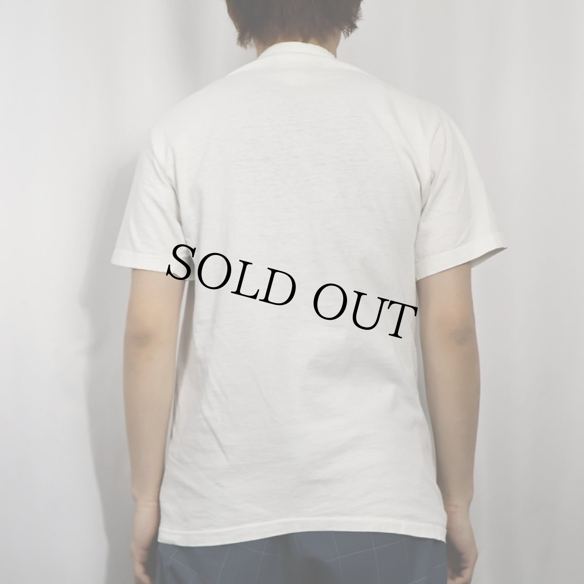 画像3: 90's BIG HED designs USA製 "DOOR-COUNTY" アートプリントTシャツ L (3)