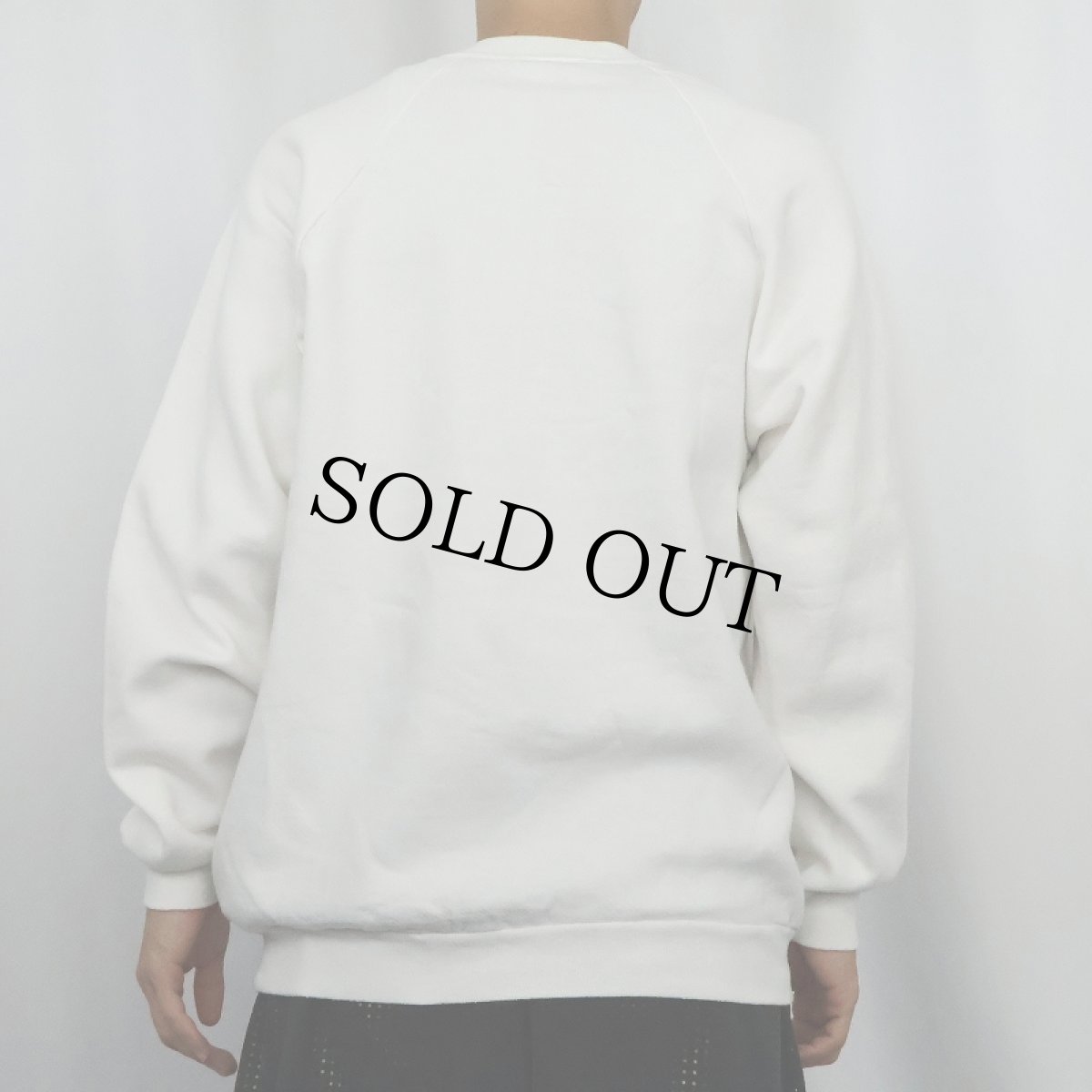 画像3: 80〜90's HERSHEY'S "THERE'S A LITTLE BIT OF HERSHEY..." お菓子企業 キャラクタープリントラグランスウェット (3)