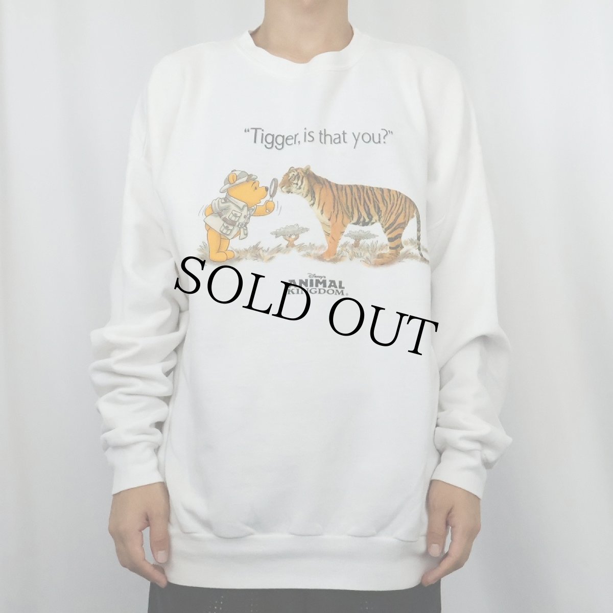 画像2: Disney "ANIMAL KINGDOM" キャラクタープリントスウェット (2)