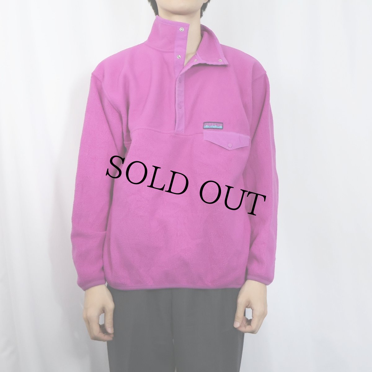 画像2: GAP "ARCTIC LIGHT FLEECE" ハーフスナップ フリースジャケット M (2)