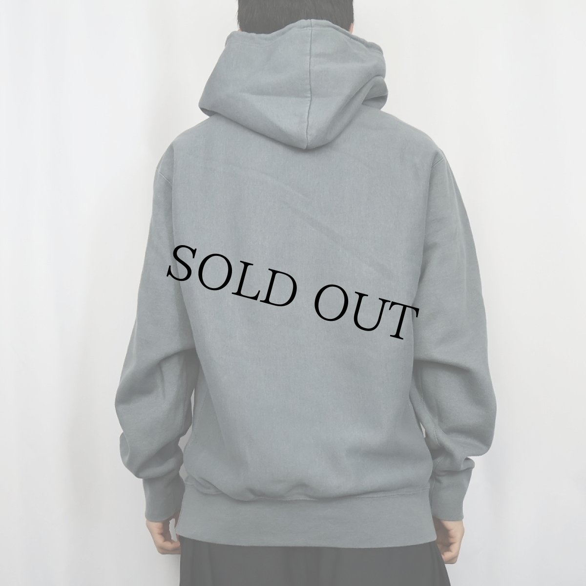 画像3: REVERSE WEAVE TYPE "BRONX ZOO NEW YORK" プリントスウェットフーディー M (3)