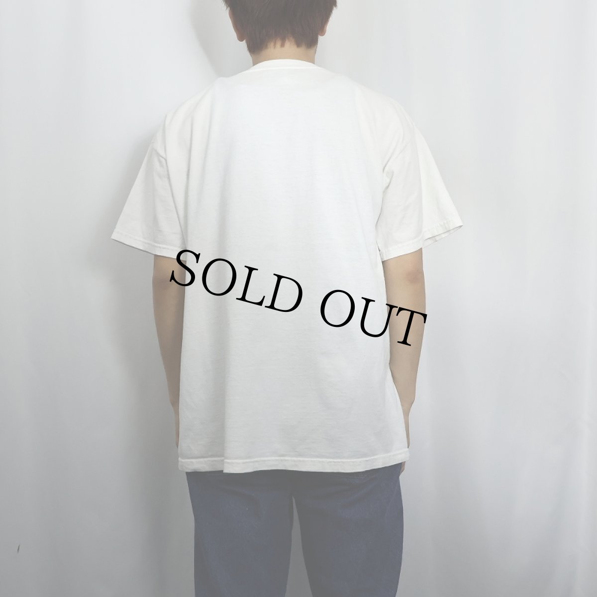 画像3: Edward Gorey USA製 "books.cats." 本×ねこプリントTシャツ L (3)