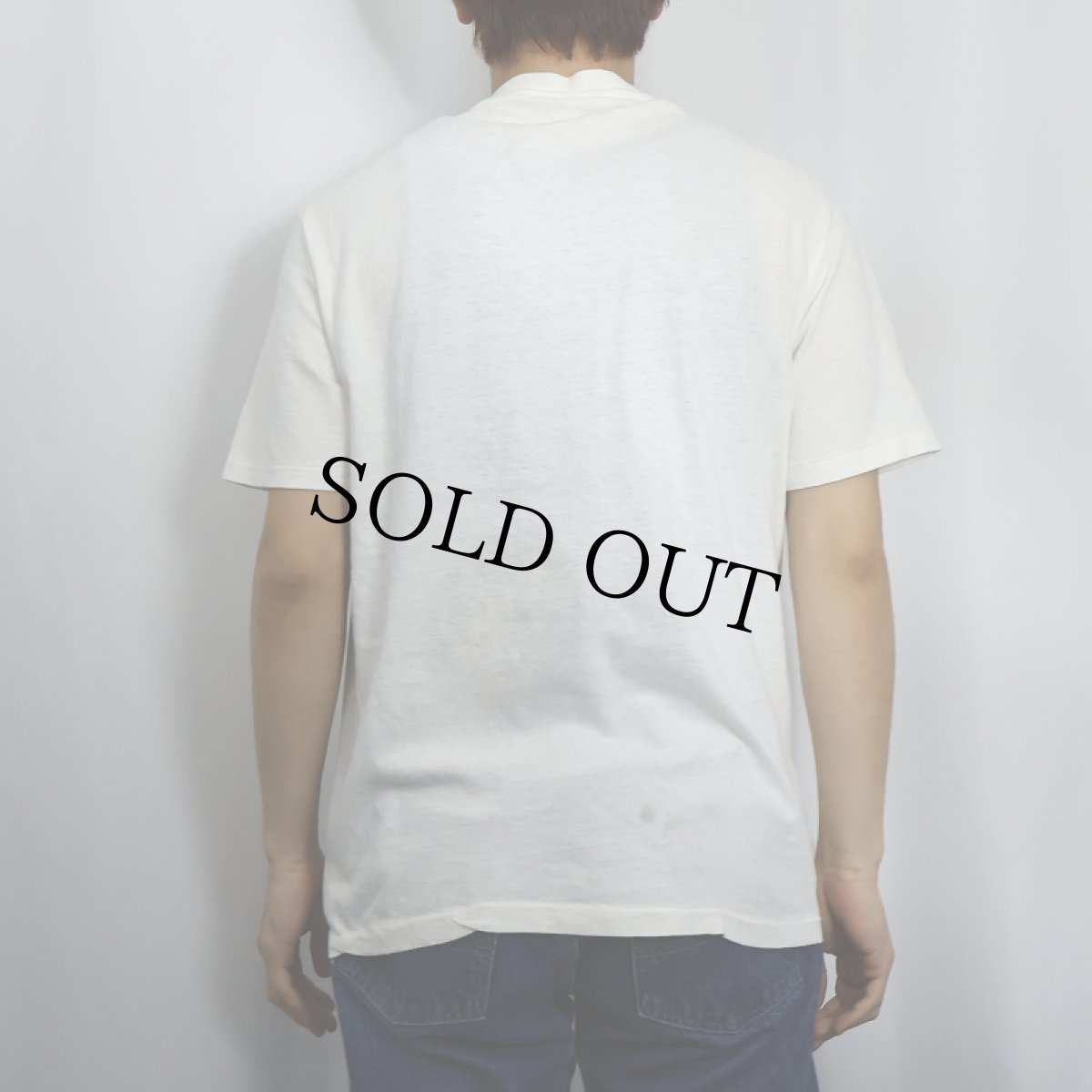 画像3: 80's Dr.Seuss USA製 "Green Eggs and Ham" キャラクタープリントTシャツ L (3)