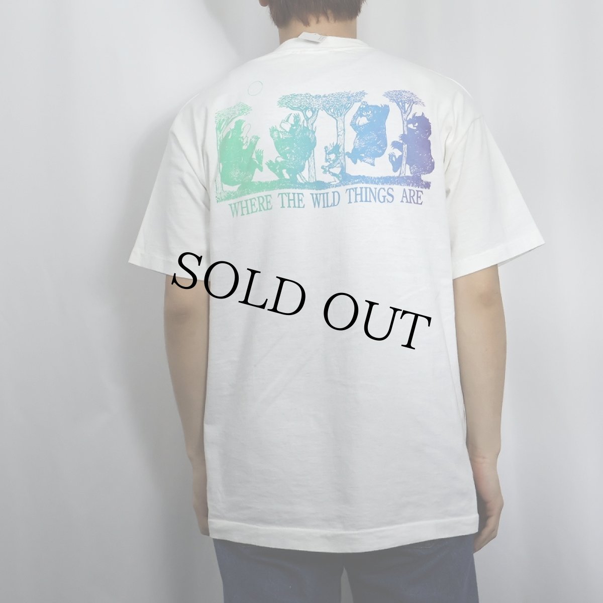 画像4: 90's かいじゅうたちのいるところ USA製 絵本プリントTシャツ L (4)