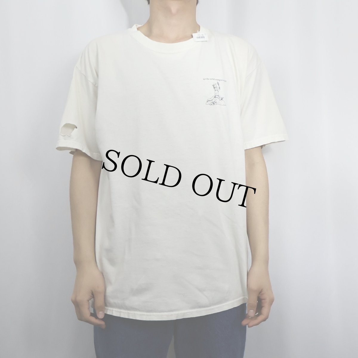 画像3: かいじゅうたちのいるところ 絵本プリントTシャツ L (3)