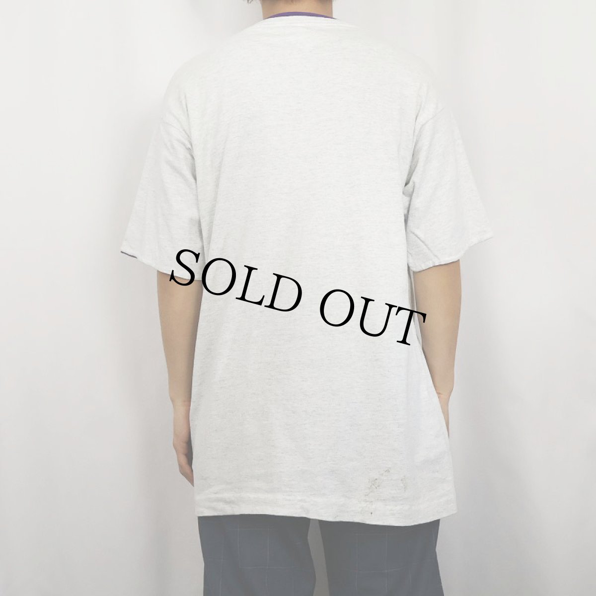 画像3: 90's FRUIT OF THE LOOM USA製 レイヤードデザイン 無地Tシャツ L (3)