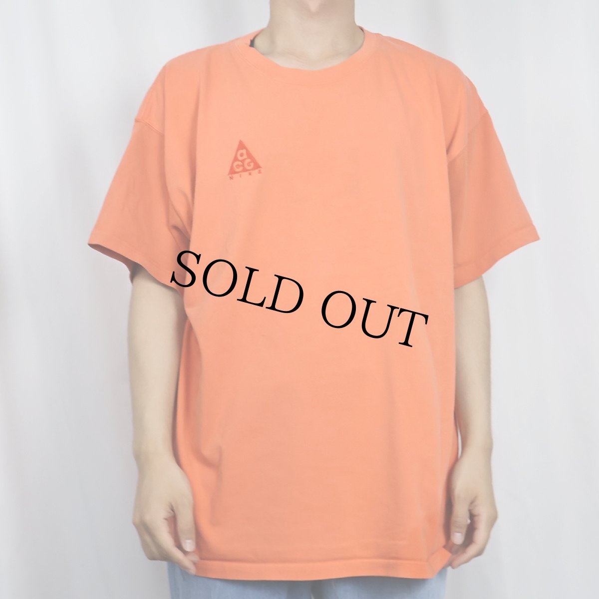 画像2: NIKE ACG ロゴ刺繍Tシャツ L (2)