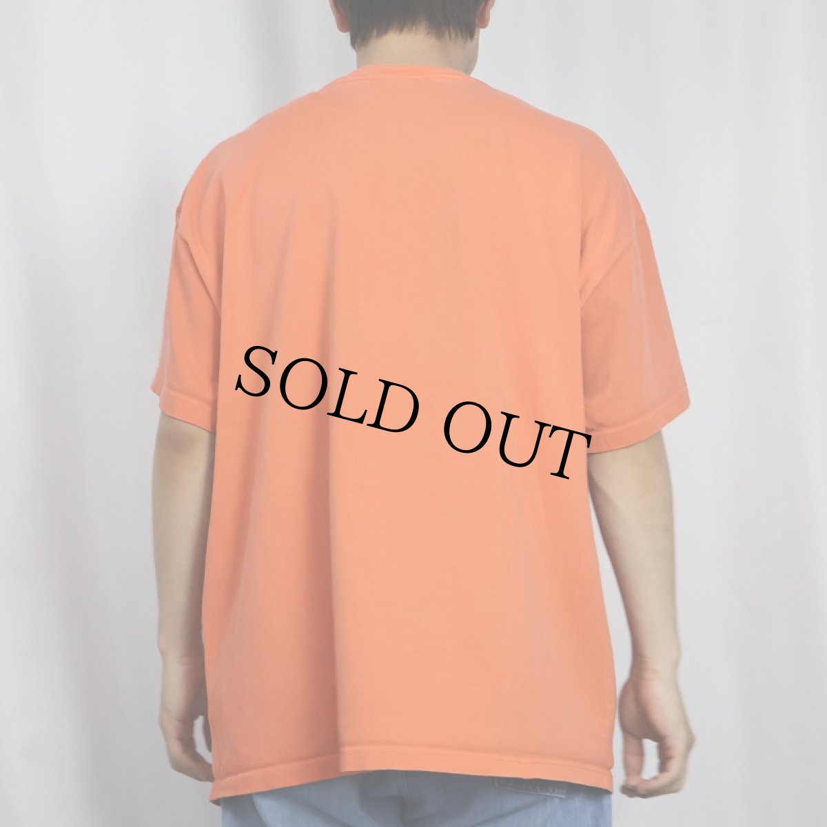 画像3: NIKE ACG ロゴ刺繍Tシャツ L (3)